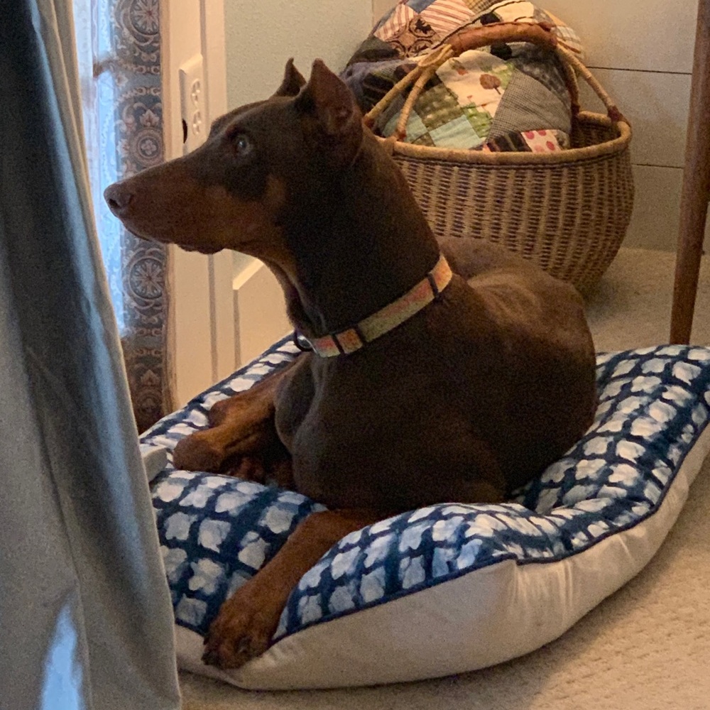 Meet your Posher, Madelyne